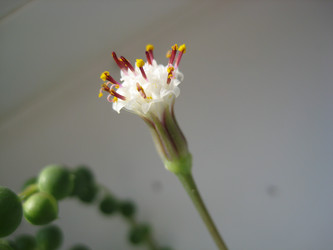 Similar image 136948