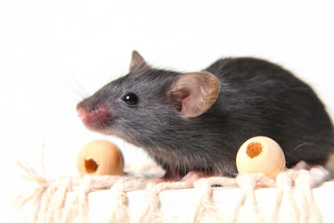 Similar image 136959