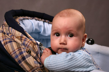 Similar image 136962