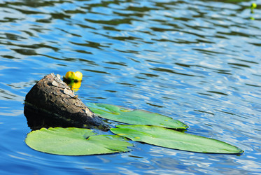 Similar image 136989