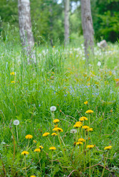 Similar image 136997