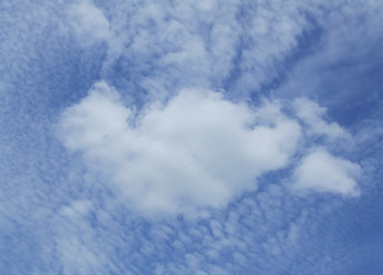 Similar image 137009