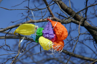 Similar image 137034