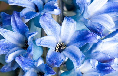 Similar image 137042