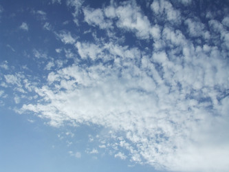 Similar image 137047