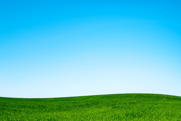 Similar image 137048