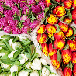 Similar image 137051