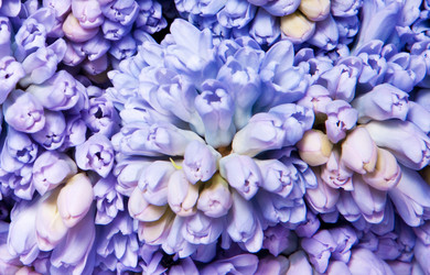 Similar image 137076