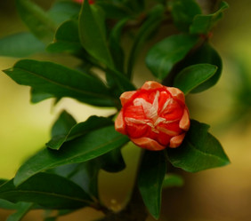 Similar image 137084