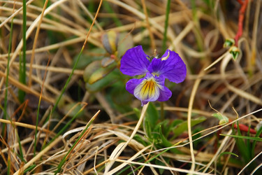 Similar image 137087