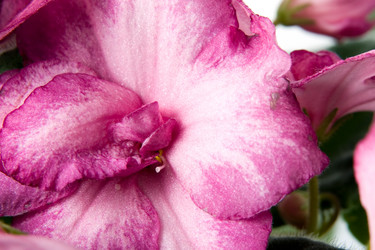 Similar image 137091