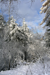 Similar image 137106