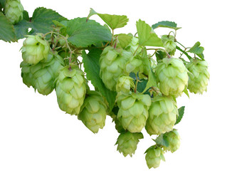 Similar image 137133