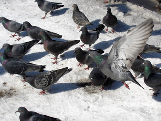 Similar image 137153