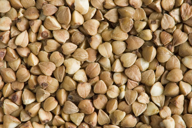 Similar image 137180