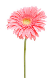 Similar image 137183