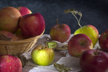 Similar image 137199