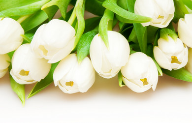 Similar image 137216