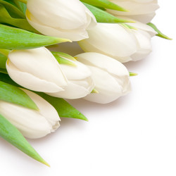 Similar image 137217