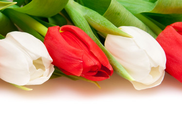 Similar image 137218