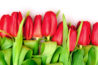 Similar image 137219