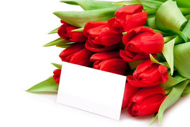 Similar image 137222