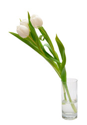 Similar image 137224