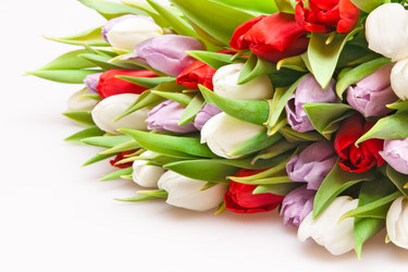 Similar image 137227