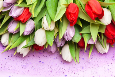 Similar image 137228