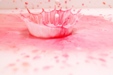 Similar image 137234