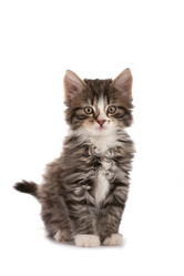 Similar image 137256