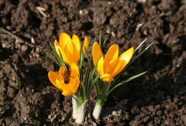 Similar image 137258