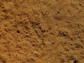 Similar image 137262