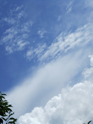 Similar image 137295