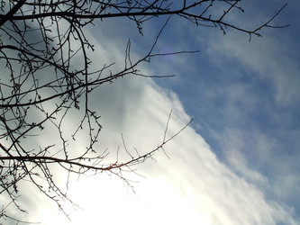 Similar image 137303