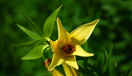 Similar image 137322