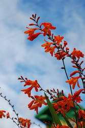 Similar image 137323