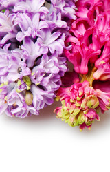 Similar image 137324