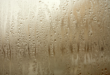 Similar image 137334