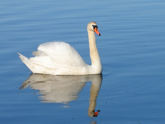 Similar image 137342