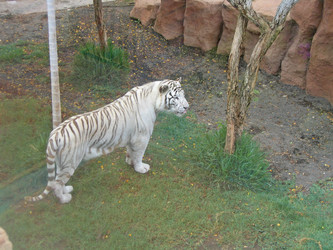 Similar image 137369