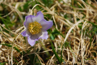 Similar image 137393