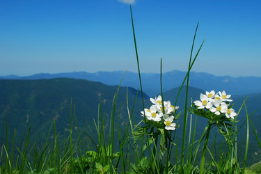 Similar image 137395