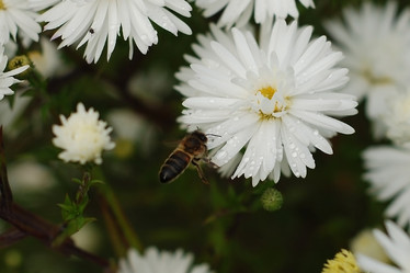 Similar image 137396