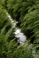 Similar image 137430