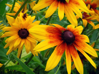 Similar image 137431