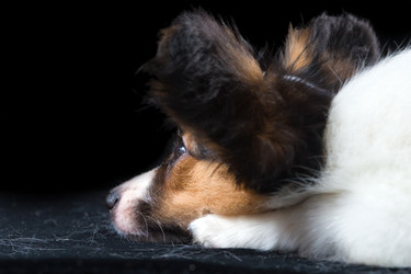 Similar image 137439