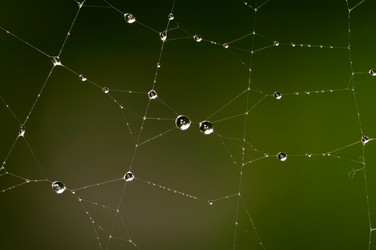 Similar image 137452