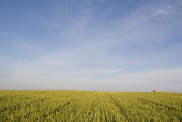 Similar image 137583