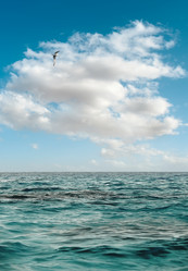 Similar image 137598